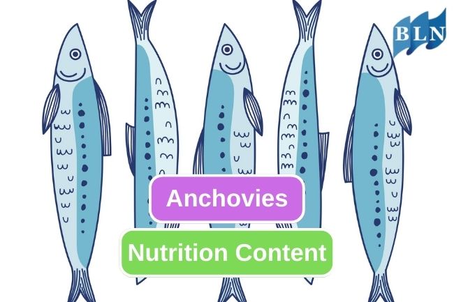 6 Essential Nutrition Content in Anchovies 